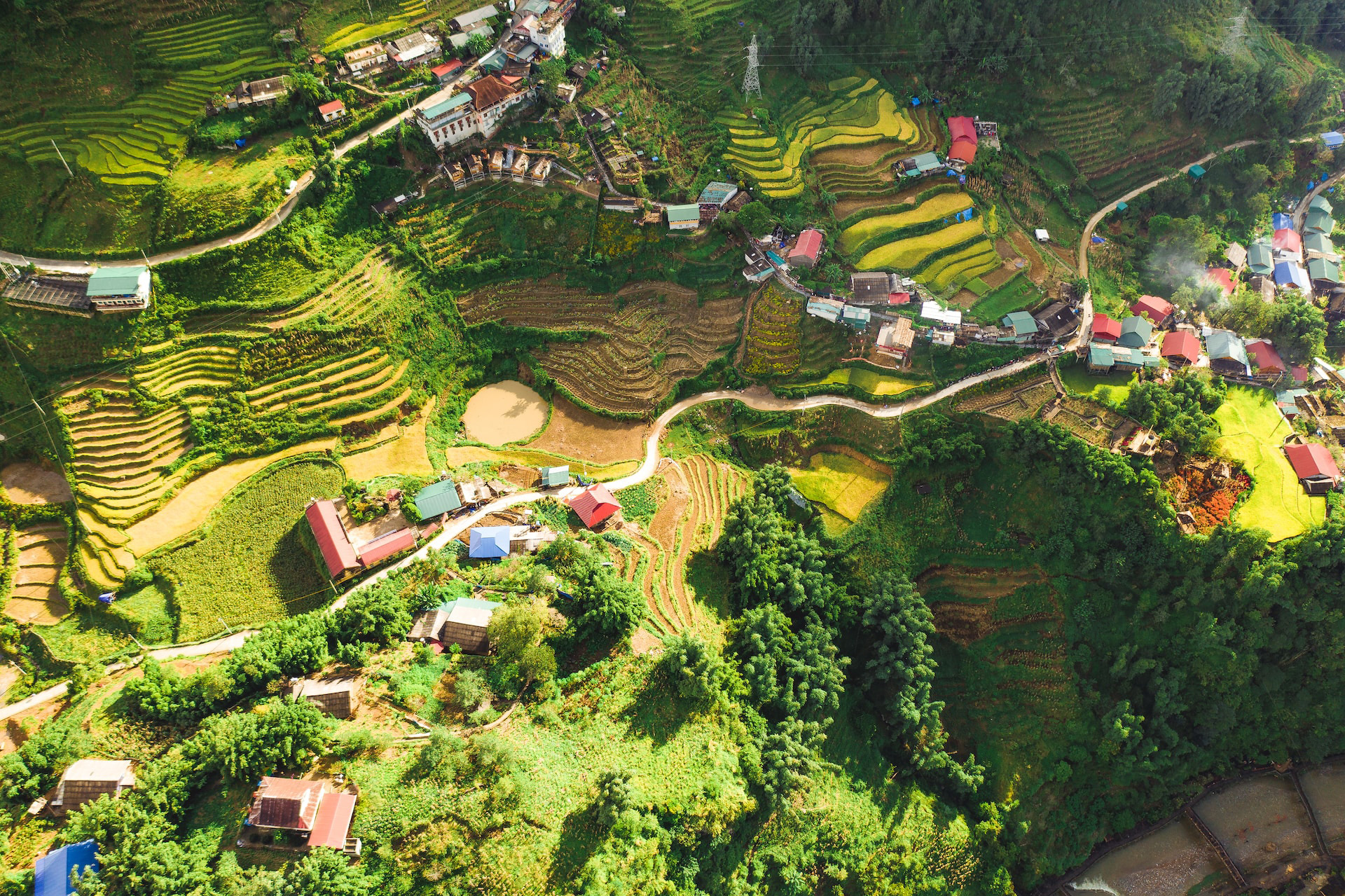 Sapa fields